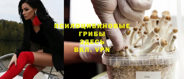 MESCALINE Медвежьегорск